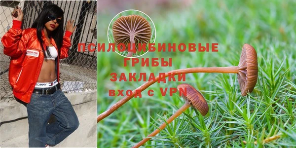 шишки Балахна