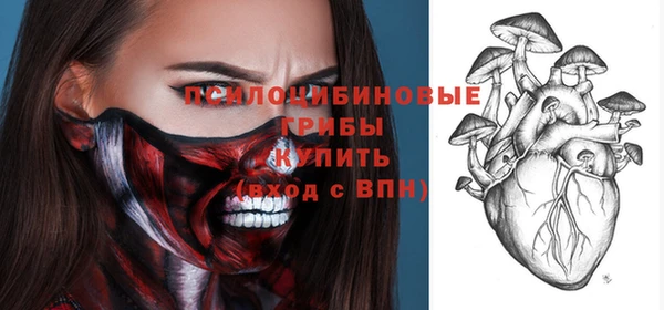 шишки Балахна