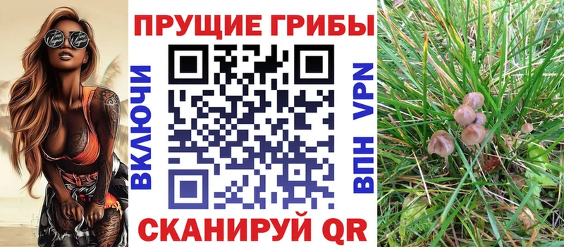 Галлюциногенные грибы Cubensis  Печора 